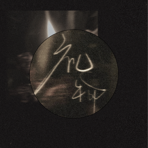 美女脱光光网站
