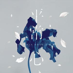 美女脱光光网站
